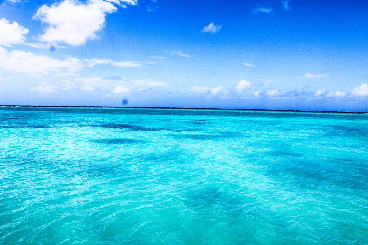 Seagarden Beach Resort Montego Bay Eksteriør billede